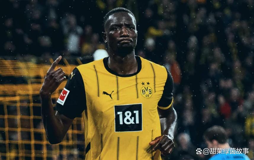 霍芬海姆主场连胜门兴格拉德巴赫，冲上德甲积分榜前列的简单介绍